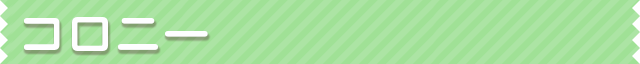 blog_designer_colony